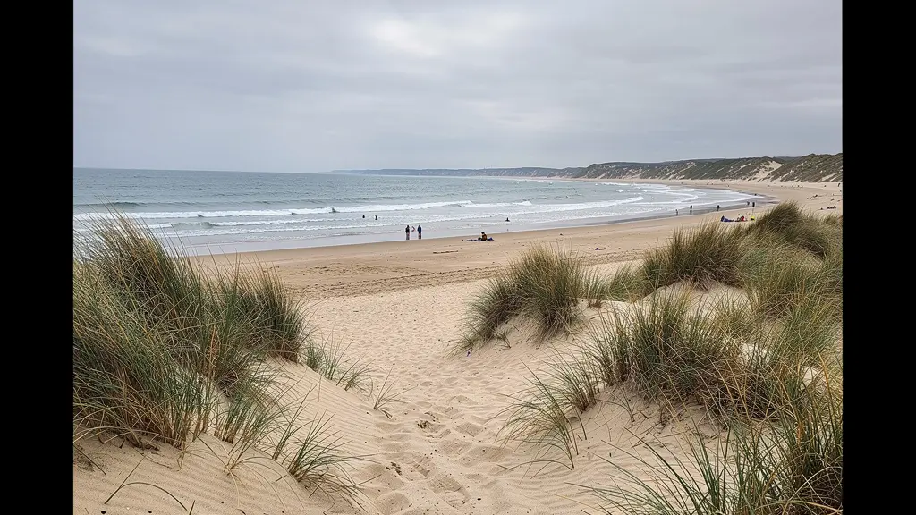 Plage océan Atlantique dans les Landes avec dunes et oyats